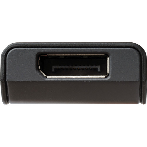 Gefen DisplayPort Extreme Extension Cable (100')