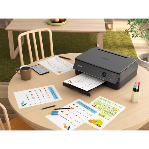 Canon PIXMA TS6420 Wireless Inkjet All-in-One Printer (Black)