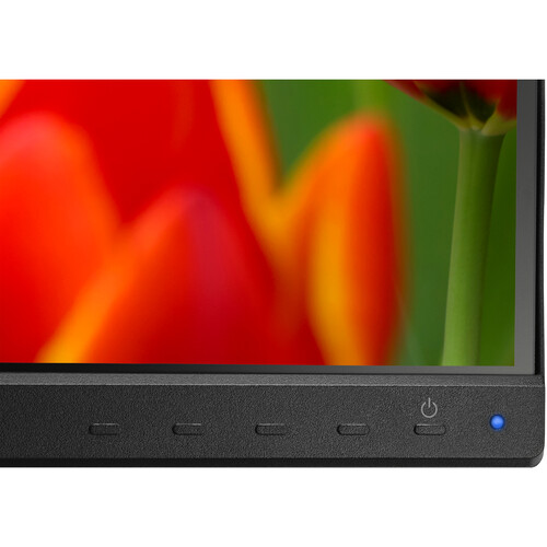 NEC MultiSync E243F-BK 23.8