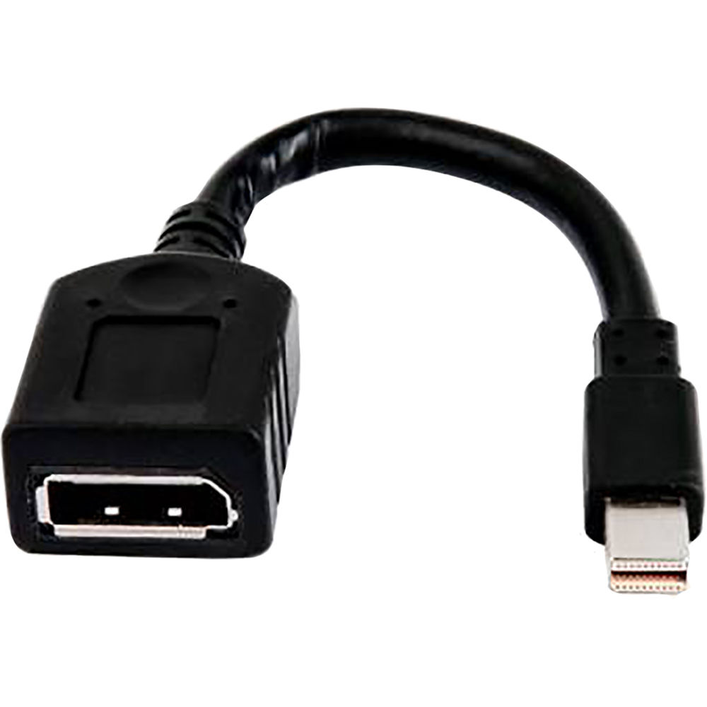 HP Mini DisplayPort to DisplayPort Adapter (12-Pack)