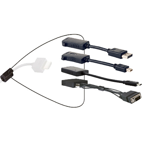 TechLogix Networx Share-Me HDMI to DisplayPort, Mini DisplayPort, USB Type-C, and VGA Adapters